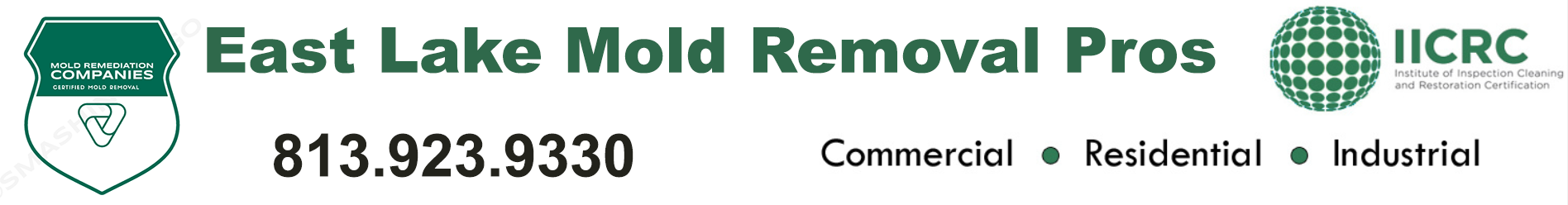 East Lake Mold Removal Pros